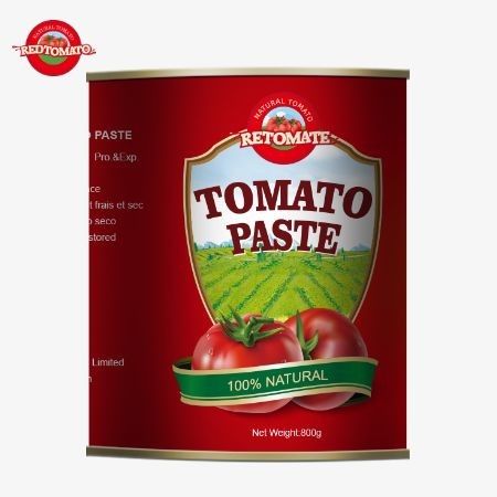 800g de pâte de tomate en conserve qui adhère aux normes internationales de qualité et de sécurité incluant ISO HACCP BRC et FDA