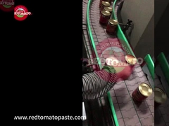 Pâte de tomate concentrée en conserve 425 g, couvercle ouvert dur par boîte