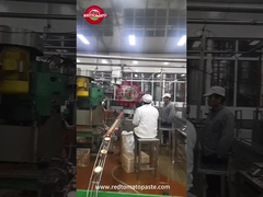 Pâte de tomate en conserve