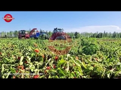 Comment est produite la pâte de tomates à tambour du Xinjiang en Chine?