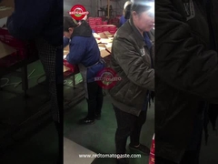 La pâte de tomate en conserve est sous contrôle