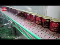 Pâte de tomate en conserve YILDIZ LINE 800g