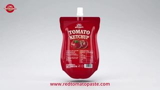 Prix ​​direct usine de ketchup en sachet de 100 g de qualité supérieure